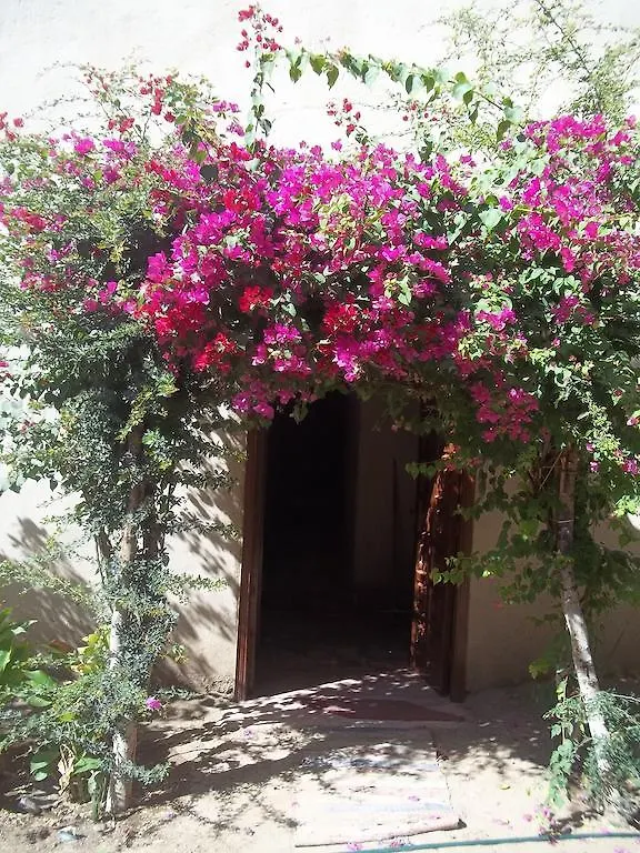 Nour El Gourna Hotel Luxor